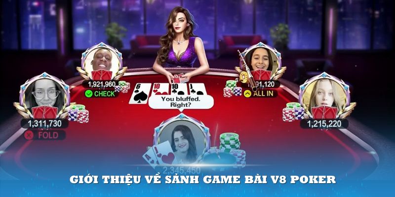 Giới thiệu về sảnh game bài V8 Poker