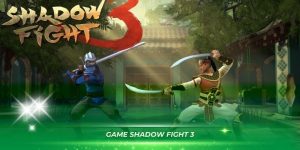 shadow fight 3